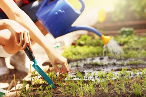 Client raising a landscaping complaint in a professional setting