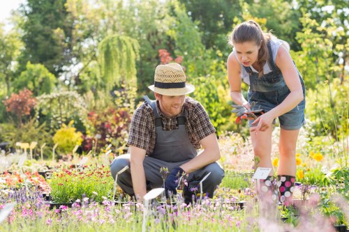 Annual review and continuous improvement in landscaping ethics