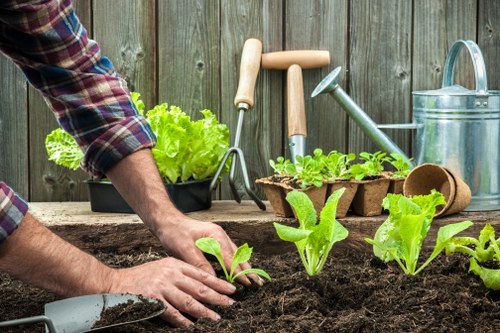 Closing a landscaping complaint with a fair final outcome