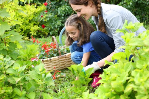 Inclusive web access message for Stockwell landscaping services