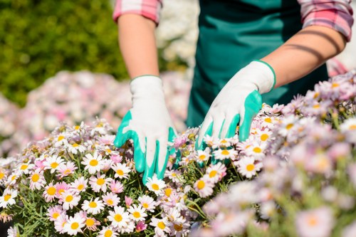 Local transfer station handling separated landscaping materials