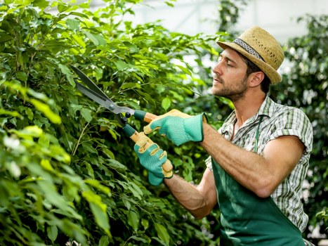 Liability and completion conditions for garden landscaping services