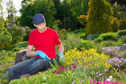 Modern low-maintenance garden makeover for a South London property