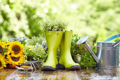 Local landscaping team planning outdoor space improvements in Stockwell