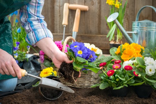 A local team planning a garden redesign in Stockwell