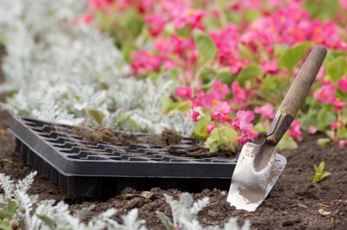 Free quote assessment for a Stockwell property garden