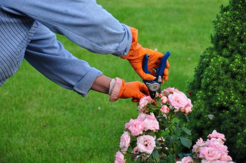 Accepted payment methods for Landscaping Stockwell including card and PayPal