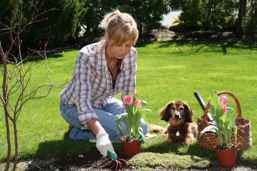 Charity reuse of surplus landscaping materials and planters